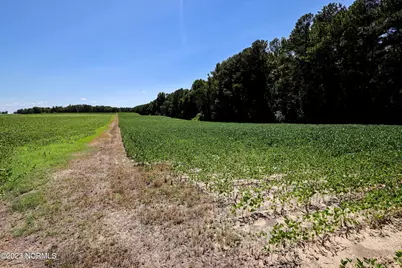 000 S Nc 581 Highway, Bailey, NC 27807 - Photo 53