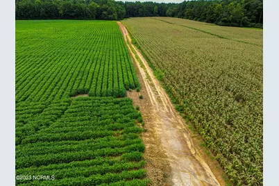 000 S Nc 581 Highway, Bailey, NC 27807 - Photo 9