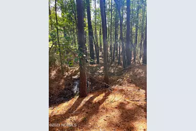Tbd Browns Creek Church Road, Elizabethtown, NC 28337 - Photo 23