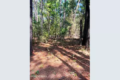 Tbd Browns Creek Church Road, Elizabethtown, NC 28337 - Photo 37