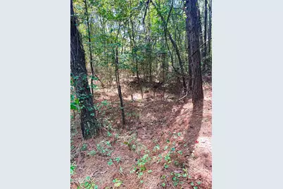 Tbd Browns Creek Church Road, Elizabethtown, NC 28337 - Photo 27