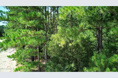Tbd Browns Creek Church Road, Elizabethtown, NC 28337 - Photo 51