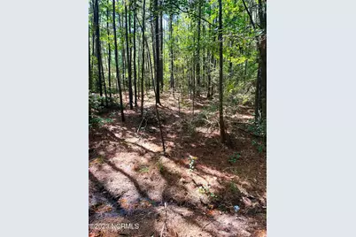 Tbd Browns Creek Church Road, Elizabethtown, NC 28337 - Photo 21