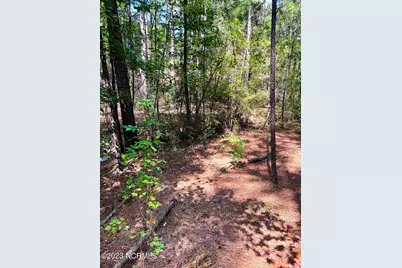 Tbd Browns Creek Church Road, Elizabethtown, NC 28337 - Photo 33