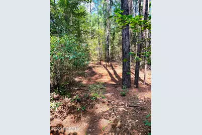 Tbd Browns Creek Church Road, Elizabethtown, NC 28337 - Photo 35