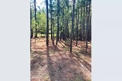 Tbd Browns Creek Church Road, Elizabethtown, NC 28337 - Photo 43