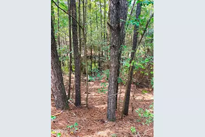 Tbd Browns Creek Church Road, Elizabethtown, NC 28337 - Photo 29