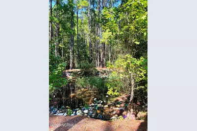 Tbd Browns Creek Church Road, Elizabethtown, NC 28337 - Photo 41