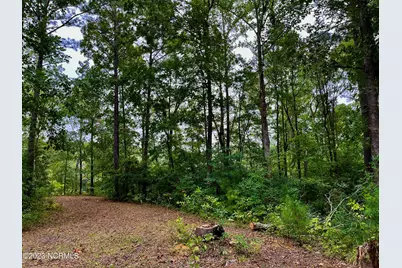 158 Fisher Turnpike Road, Arapahoe, NC 28510 - Photo 11