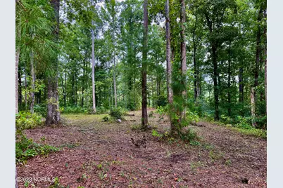 158 Fisher Turnpike Road, Arapahoe, NC 28510 - Photo 7