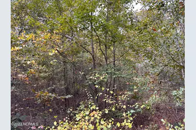 Tract 1 Matilda Drive, Lumberton, NC 28360 - Photo 3