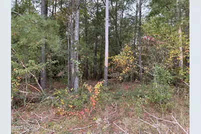 Tract 1 Matilda Drive, Lumberton, NC 28360 - Photo 1
