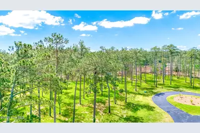 203 River Watch Road, Oriental, NC 28571 - Photo 5