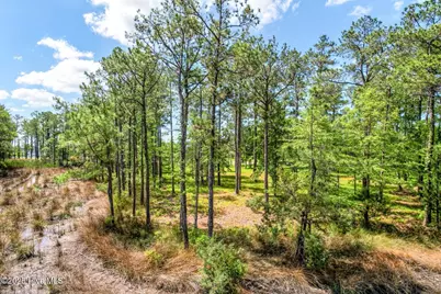 72 Oyster Point Road, Oriental, NC 28571 - Photo 51