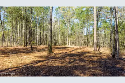 15 Alexander Drive, Belhaven, NC 27810 - Photo 13