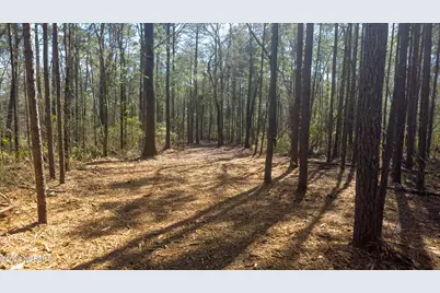 15 Alexander Drive, Belhaven, NC 27810 - Photo 7