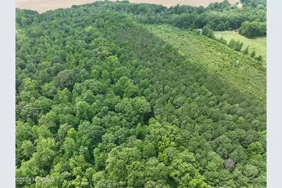 Tbd Soney Lane, Gatesville, NC 27938 - Photo 21