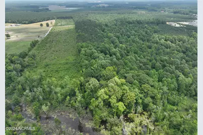 Tbd Soney Lane, Gatesville, NC 27938 - Photo 11