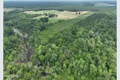 Tbd Soney Lane, Gatesville, NC 27938 - Photo 13