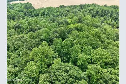 Tbd Soney Lane, Gatesville, NC 27938 - Photo 29