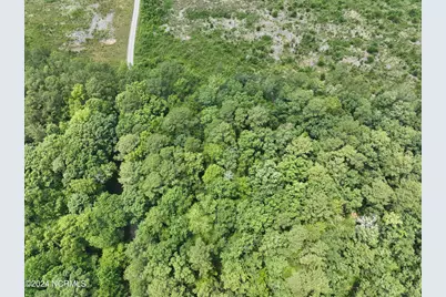 Tbd Soney Lane, Gatesville, NC 27938 - Photo 25