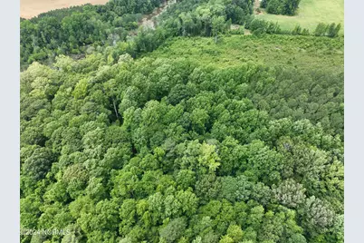 Tbd Soney Lane, Gatesville, NC 27938 - Photo 15
