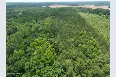 Tbd Soney Lane, Gatesville, NC 27938 - Photo 27