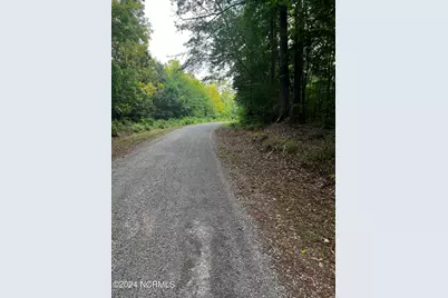 Tbd Soney Lane, Gatesville, NC 27938 - Photo 3