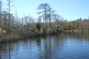 49 Deep Creek Rd, Chocowinity, NC 27817 - Photo 1