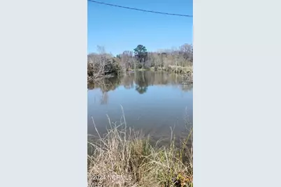 350 Hoggard Mill Road, Windsor, NC 27983 - Photo 7