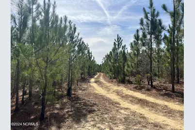 00 US 15/501, Pinehurst, NC 28374 - Photo 13