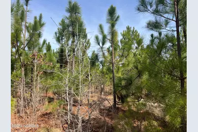 00 US 15/501, Pinehurst, NC 28374 - Photo 15