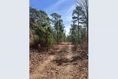 00 US 15/501, Pinehurst, NC 28374 - Photo 7