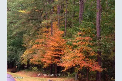 279 Mill Creek Lane, Bath, NC 27808 - Photo 13