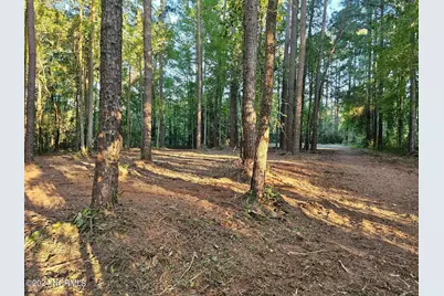 279 Mill Creek Lane, Bath, NC 27808 - Photo 3