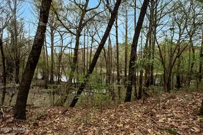153 River Woods Drive, Wallace, NC 28466 - Photo 15
