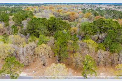 153 River Woods Drive, Wallace, NC 28466 - Photo 7