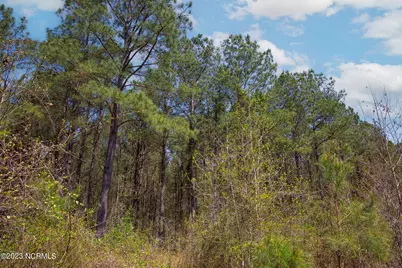 0 Gum Swamp Church Road, Greenville, NC 27834 - Photo 5