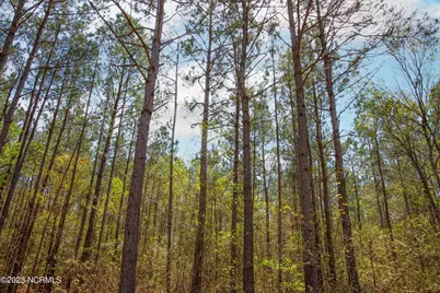 0 Gum Swamp Church Road, Greenville, NC 27834 - Photo 13