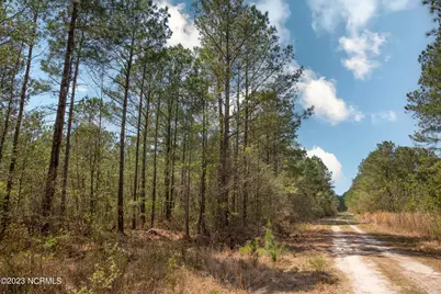 0 Gum Swamp Church Road, Greenville, NC 27834 - Photo 11