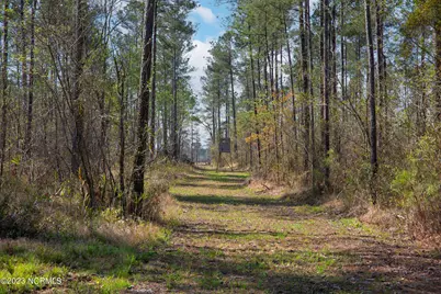 0 Nc-903, Stokes, NC 27884 - Photo 3