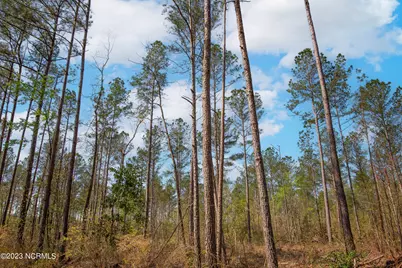 0 Nc-903, Stokes, NC 27884 - Photo 19