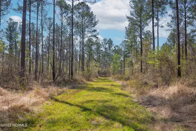 0 Nc-903, Stokes, NC 27884 - Photo 11