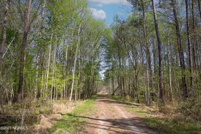 0 Nc-903, Stokes, NC 27884 - Photo 13