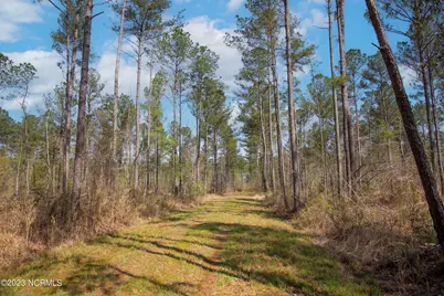 0 Nc-903, Stokes, NC 27884 - Photo 21