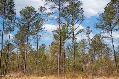 0 Nc-903, Stokes, NC 27884 - Photo 25