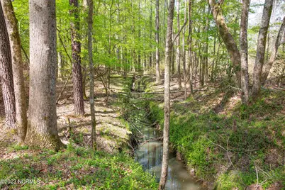 0 Nc-903, Stokes, NC 27884 - Photo 9