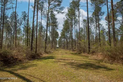 0 Nc-903, Stokes, NC 27884 - Photo 23