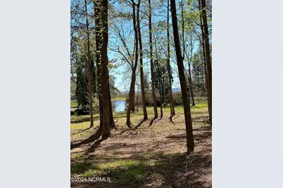 115 Waterford Drive, Bath, NC 27808 - Photo 5