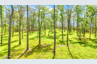 175 River Watch Road, Oriental, NC 28571 - Photo 13